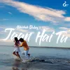 About Jaan hai tu Song